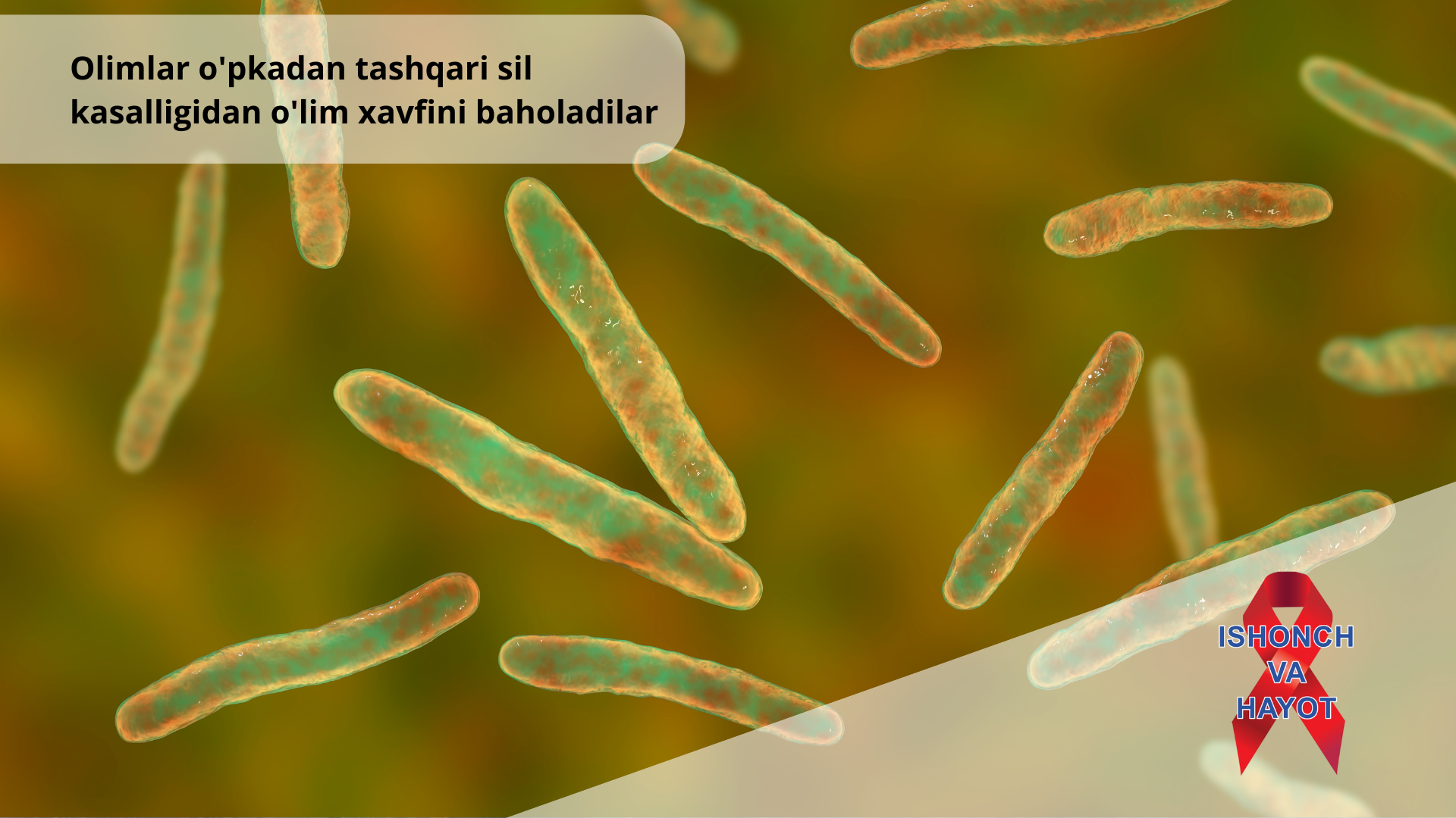 Olimlar o'pkadan tashqari sil kasalligidan o'lim xavfini baholadilar