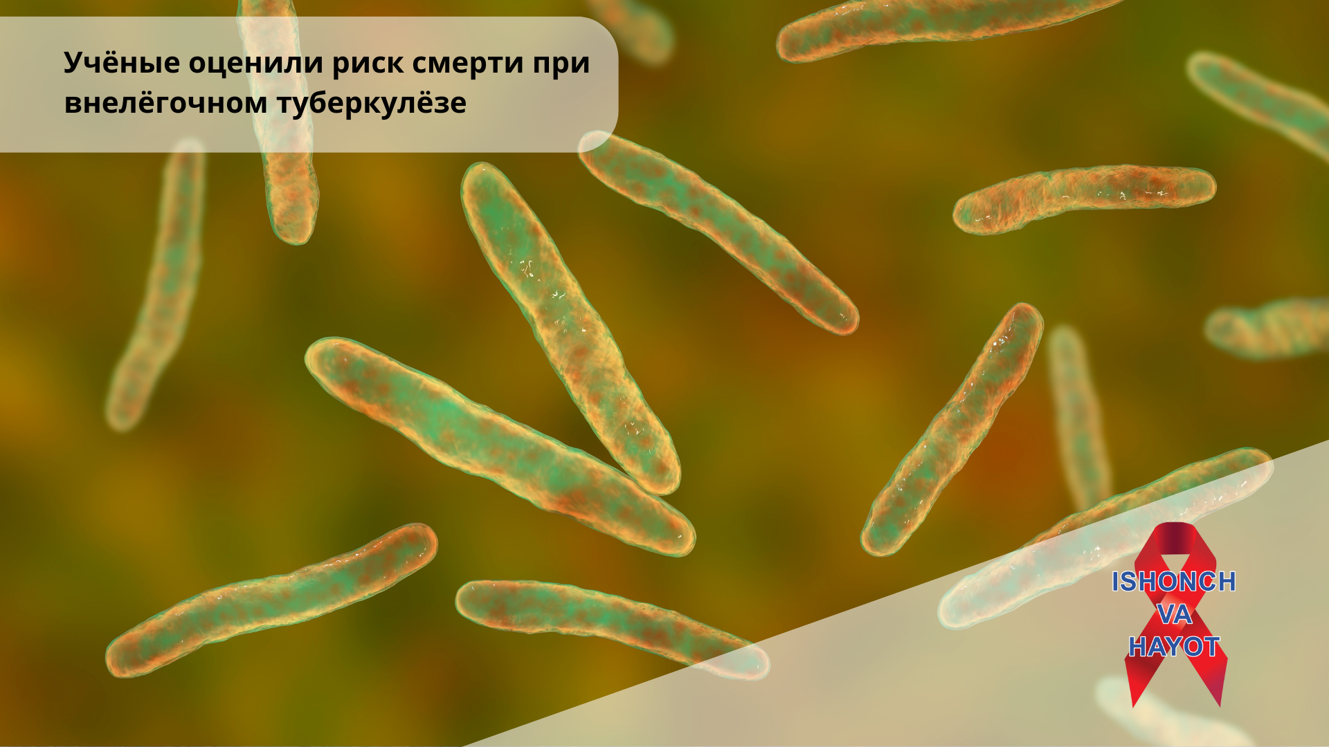 Учёные оценили риск смерти при внелёгочном туберкулёзе