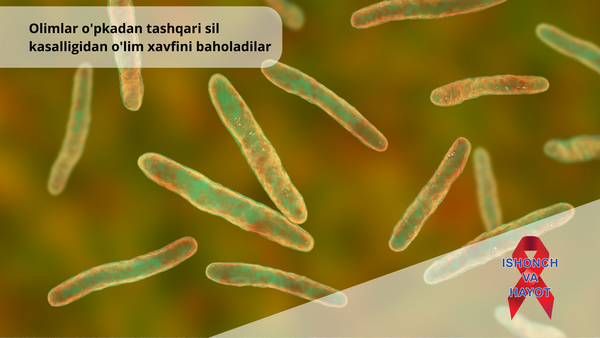 Olimlar o'pkadan tashqari sil kasalligidan o'lim xavfini baholadilar