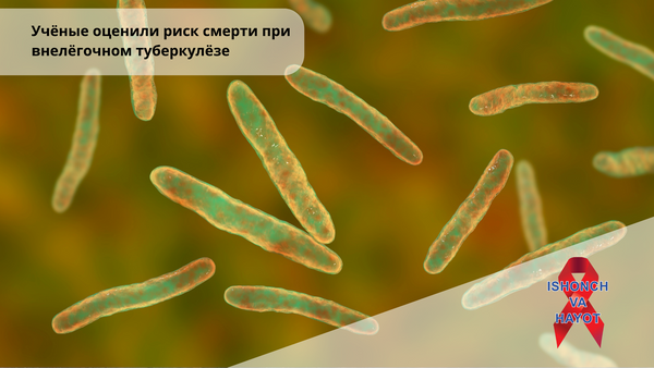 Учёные оценили риск смерти при внелёгочном туберкулёзе